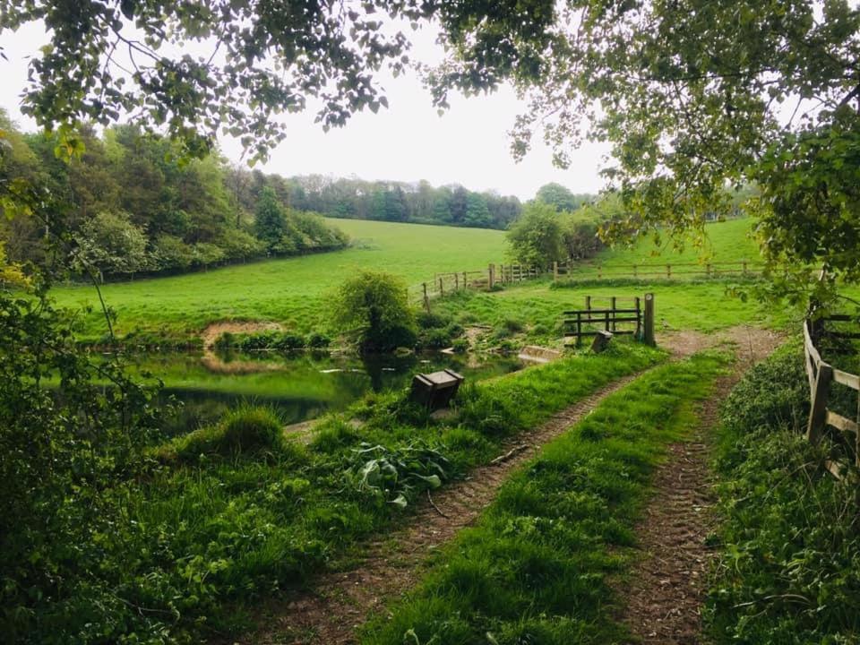 Holly Cottage, Hidden Gem In The Yorkshire Wolds Welton  Exteriör bild